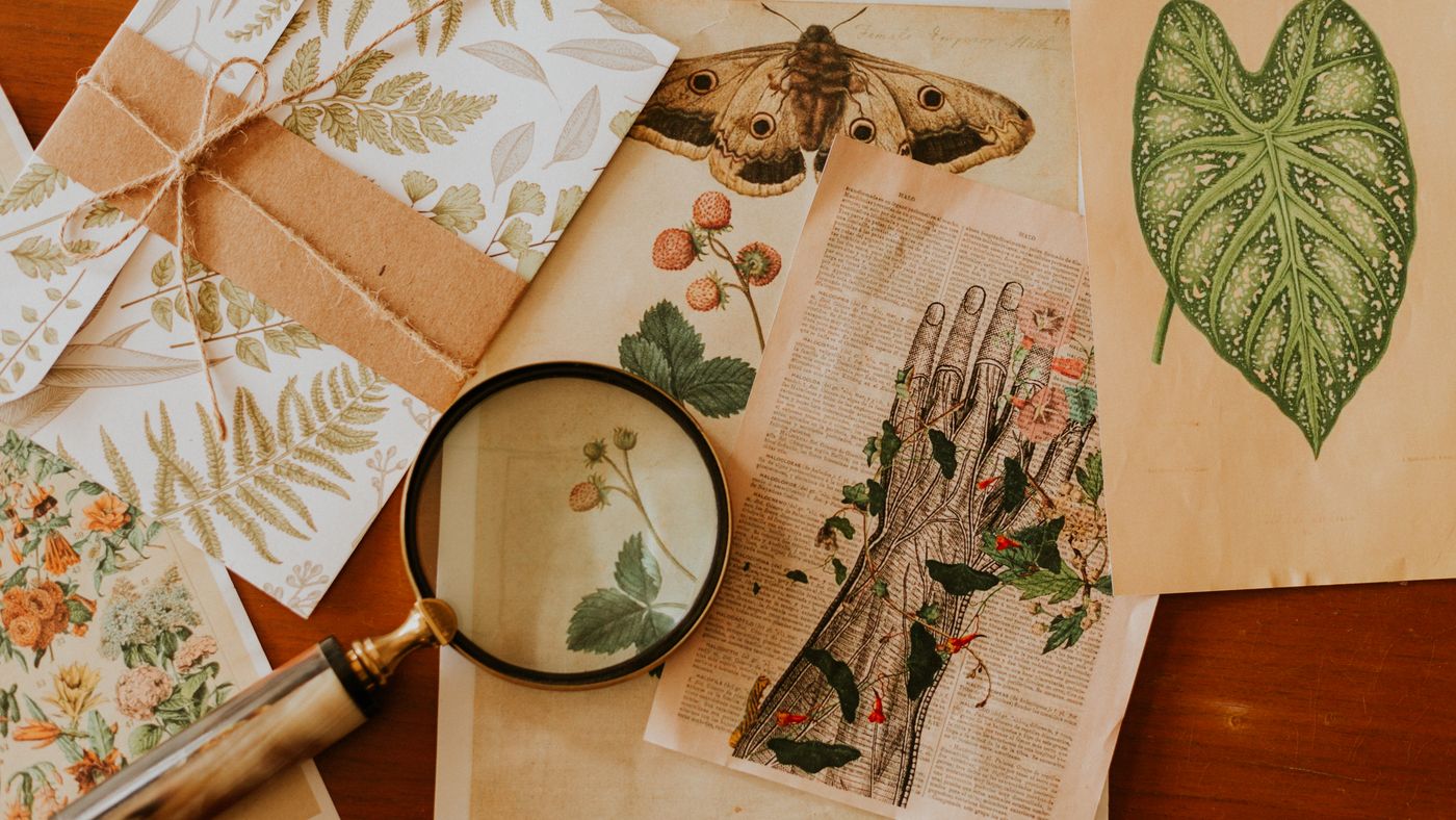 An overhead view of vintage botanical and anatomical illustrations with a magnifying glass.